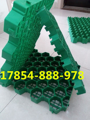 歡迎光臨、南京停車位植草格))股份丨歡迎您_南京植草格,南京停車位植草格,南京植草格公司,植草格,停車位植草格_供應信息_中國安防展覽網